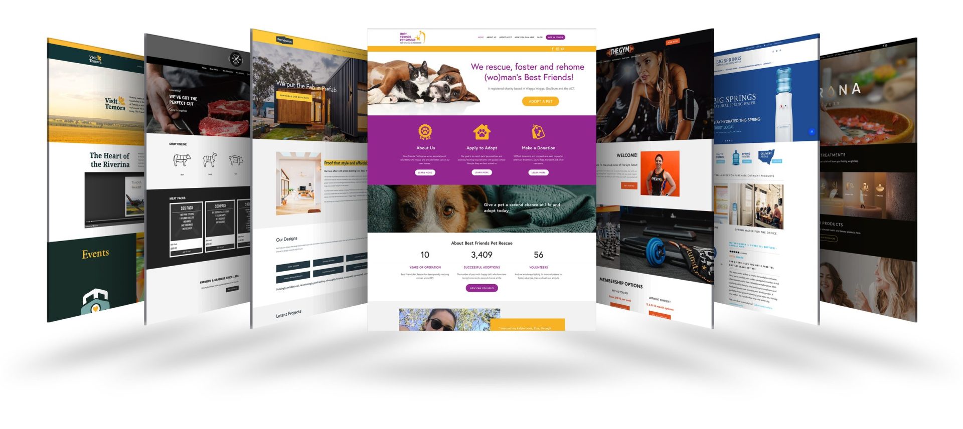 Web Design for Small Business - MCS